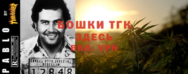 сатива Верхний Тагил