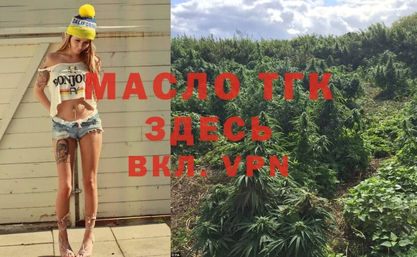сатива Верхний Тагил