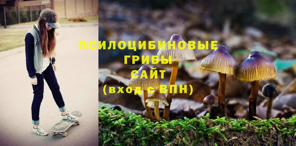сатива Верхний Тагил